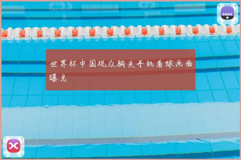 世界杯中国观众胸夹手机看球画面曝光