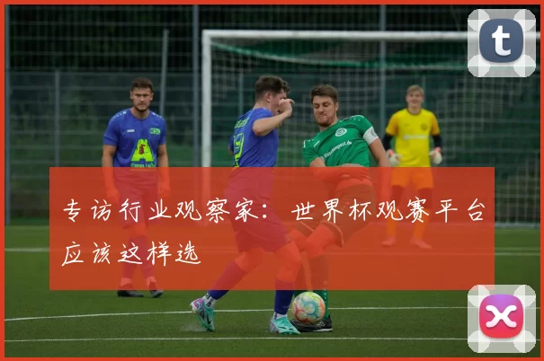 专访行业观察家：世界杯观赛平台应该这样选