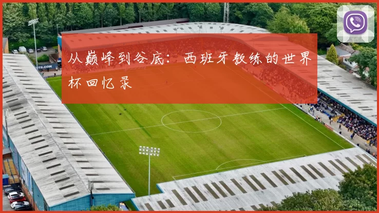 从巅峰到谷底：西班牙教练的世界杯回忆录