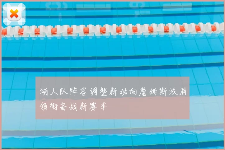 湖人队阵容调整新动向詹姆斯浓眉领衔备战新赛季