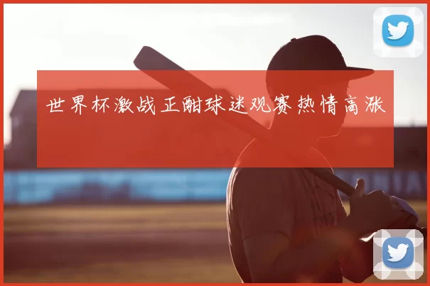 世界杯激战正酣球迷观赛热情高涨