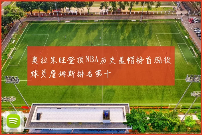 奥拉朱旺登顶NBA历史盖帽榜首现役球员詹姆斯排名第十