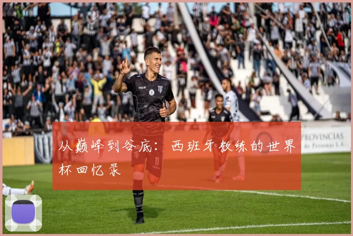 从巅峰到谷底：西班牙教练的世界杯回忆录