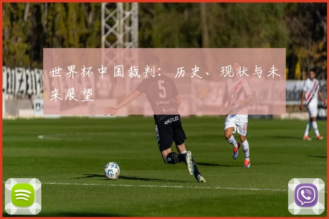 世界杯中国裁判：历史、现状与未来展望