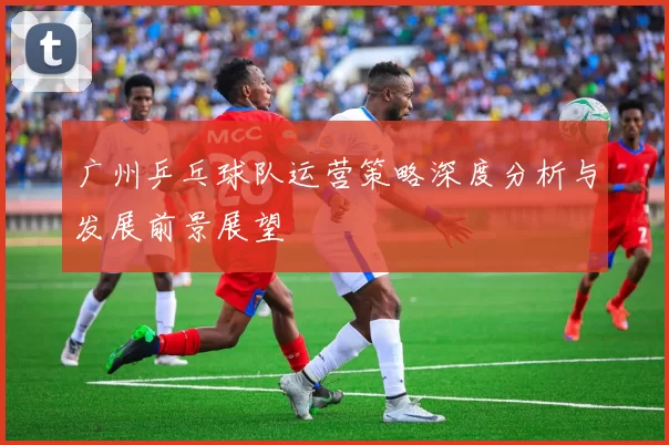 广州乒乓球队运营策略深度分析与发展前景展望